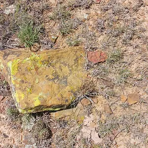 Book? On small mound