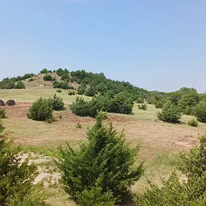 Large mound