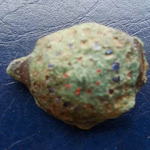 DSCN0307.webp