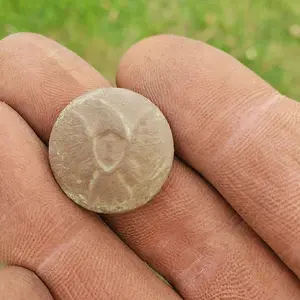 Union Infantry Button