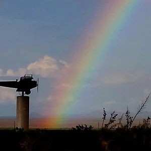 rainbow and Jenny.webp