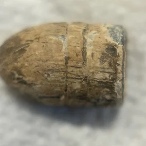 Bullet