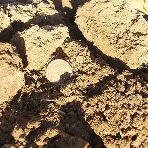 Seated Silver in the Dirt - 2007.
