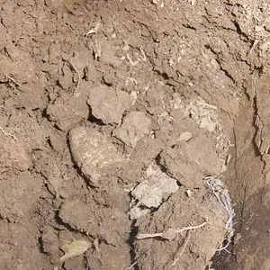 .69 cal Minieball in the hole