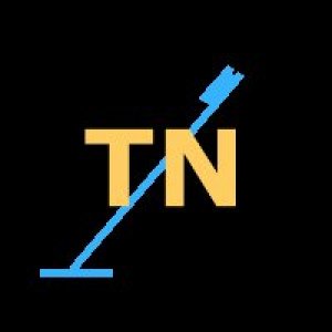 TreasureNet - Sample logo (proposed) for Treasure Net