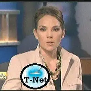 T-Net 2 - Erica Hill demo