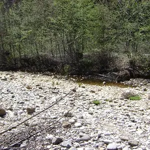 Bear River