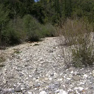 Bear River