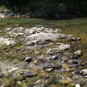 Bear River - Off Placer Hill Rd. Colfax, CA