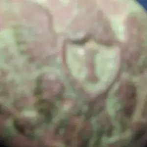 Eagle I button