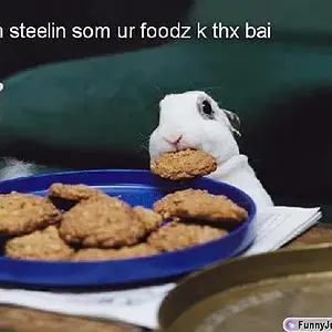 [No title]