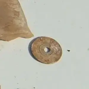 Alabama Tax Token - Bad Picture
