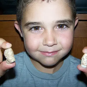 My youngest sons first civil war finds. - One fired and one that appears to be chewed.