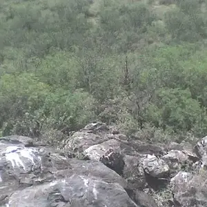 rock cliff 1 - view