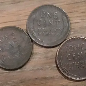 Uvalde 2 finds - Wheaties - wheat backs (41,50,55)