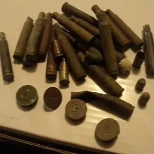 shells from 2010