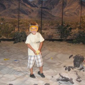 Diggin Bones - My little dude digging his first Dino (Houston Museum)