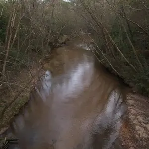 Local Creek  - My local "Peach Creek" stomping grounds