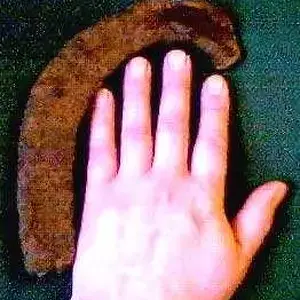 Half Cart-Horse Shoe 4