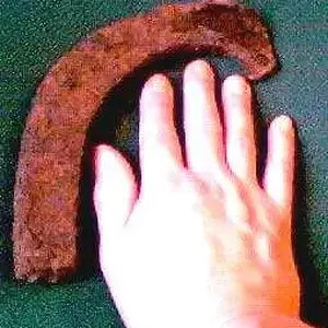 Half Cart-Horse Shoe 3