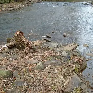 Remains of a bridge. - Went to some old mines and coke ovens.