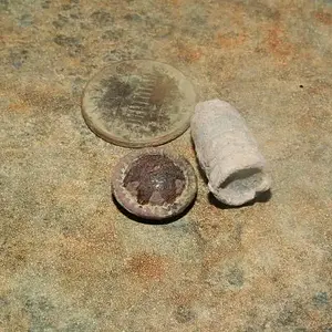 Bullet and Button - Neat finds.