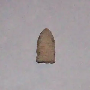 577 Cal Sharps carbine bullet