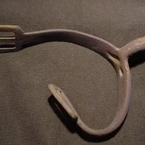 Spur
