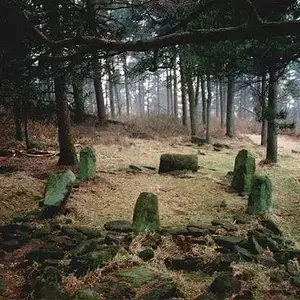 Doll Tor - Doll Tor - Derbyshire, UK