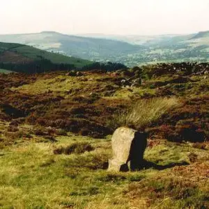 Wet Witherns - King stone at the 'Wet Witherns' site - Derbyshire, UK