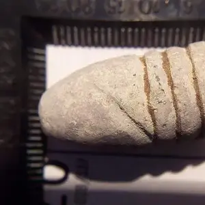 Civil War 3 Ringer - Found my first CW bullet Jan 09.