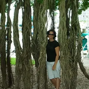 Banyan tree in Sarasota