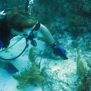 Diving for treasure