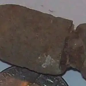 1865 Battle field bullet - Bullet came from Civil War battle field in Petersburg, Virginia