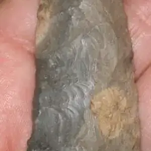 Blade