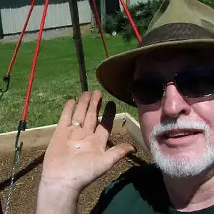 Lost Diamond Found
