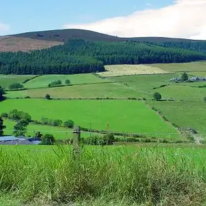 Northern Scotland hill side