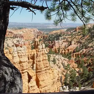 Bryce 5 N.P. Utah 8/2009
