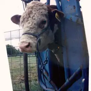 [No title]