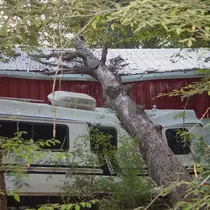 Got a nice surprise today........I'll trade a motorhome for a coil cover...Lol!!!