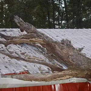 [No title]