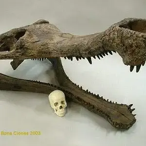 [No title]