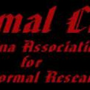 Paranormal Carolina's - When I'm not hunting treasure, I'm hunting ghosts!  I'm the president of the "Carolina Assoc. for Paranormal Research", which 