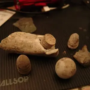Dropped carbine bullet, bullet in some kind of bone, ceramic marble, fired carbine case, all Civil War stuff