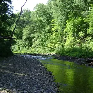 Back Creek - Back creek in Bath county Va.