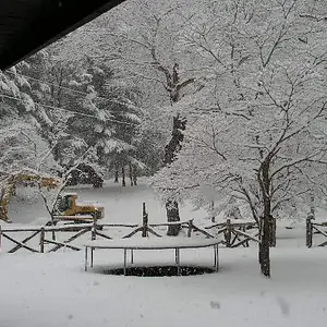 Snow in the Carolina Mountains - A gruesome display of mother nature at her worst!