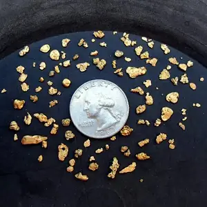 12.3 grams - 4/10/10