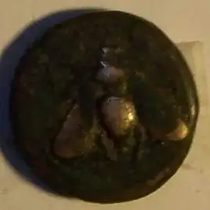 Oldest coin dug Greek 212BC Bee Stage Bronze - http://forum.treasurenet.com/index.php/topic,277929.0.html
Go figure ? in a front yard a coin from Gree