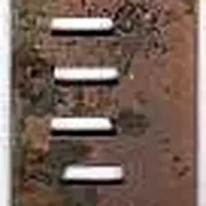 Harmonica Reed - found in my yard