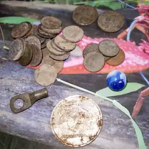 Finds from homesite in Ponchatoula